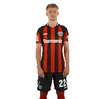 Daley Sinkgraven What Sticker by Bayer 04 Leverkusen