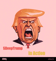 Usa President GIF by Deep Trump